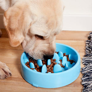 Plato de Comida para Mascotas Anti Choke