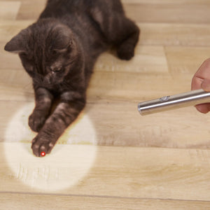 2 en 1 Pluma Roja del Juguete del Gato del Punto del Laser