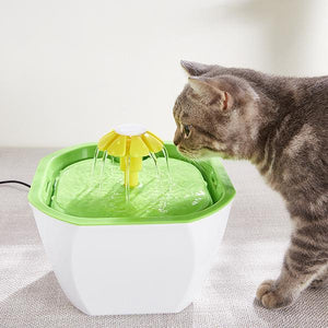 Fuente de Agua Potable para Mascotas